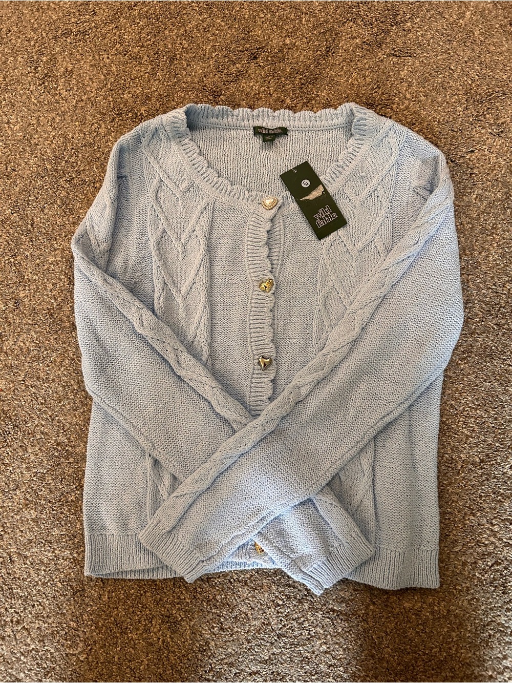 wild fable Light Blue Cable Knit Cardigan with Gold Buttons
